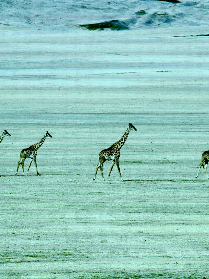 Les Walkers pour la vente par Flower Power Puzzle