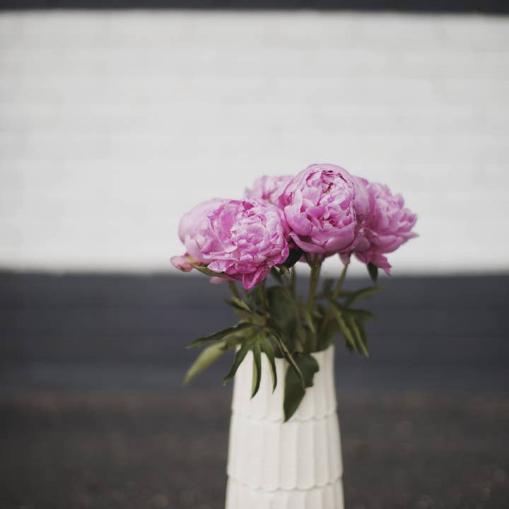 Zwart wit en pioenen voor wholesale door Alison Holcomb Creative