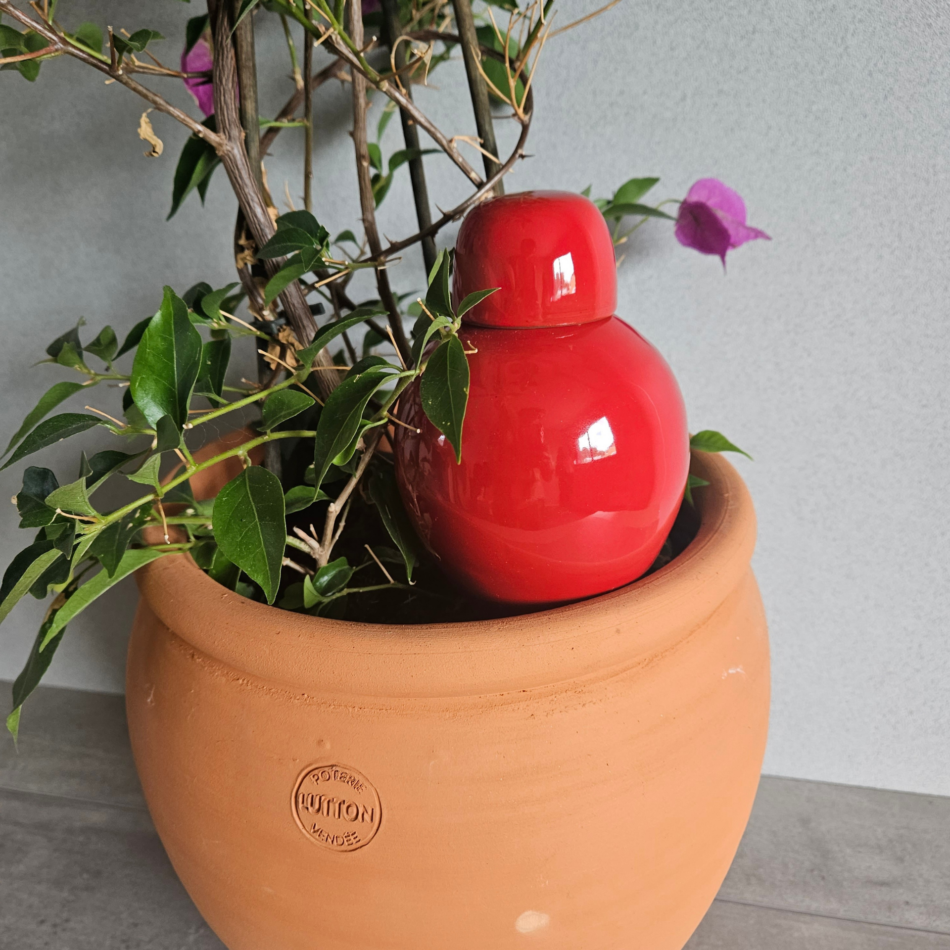 Poterie lutton - Wholesale Plant Pot - Ollas Flavor9