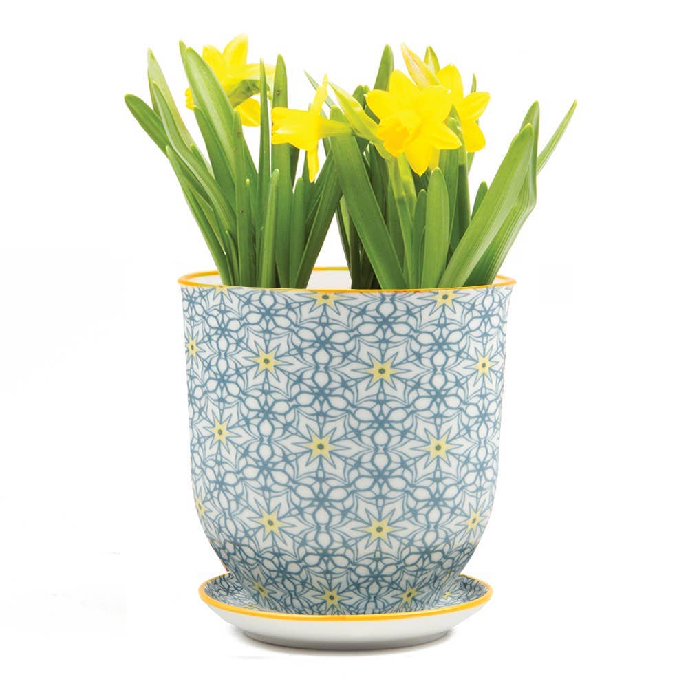 Chive UK – Großhandel Blumentopf – Liberte 3 - Keramik-Blumentopf mit Untersetzer und Abflussloch6