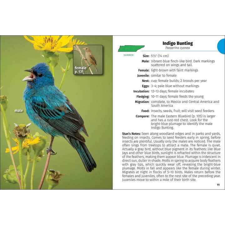 AdventureKEEN - Wholesale Nature Guide - Birds of Tennessee Field Guide 2e