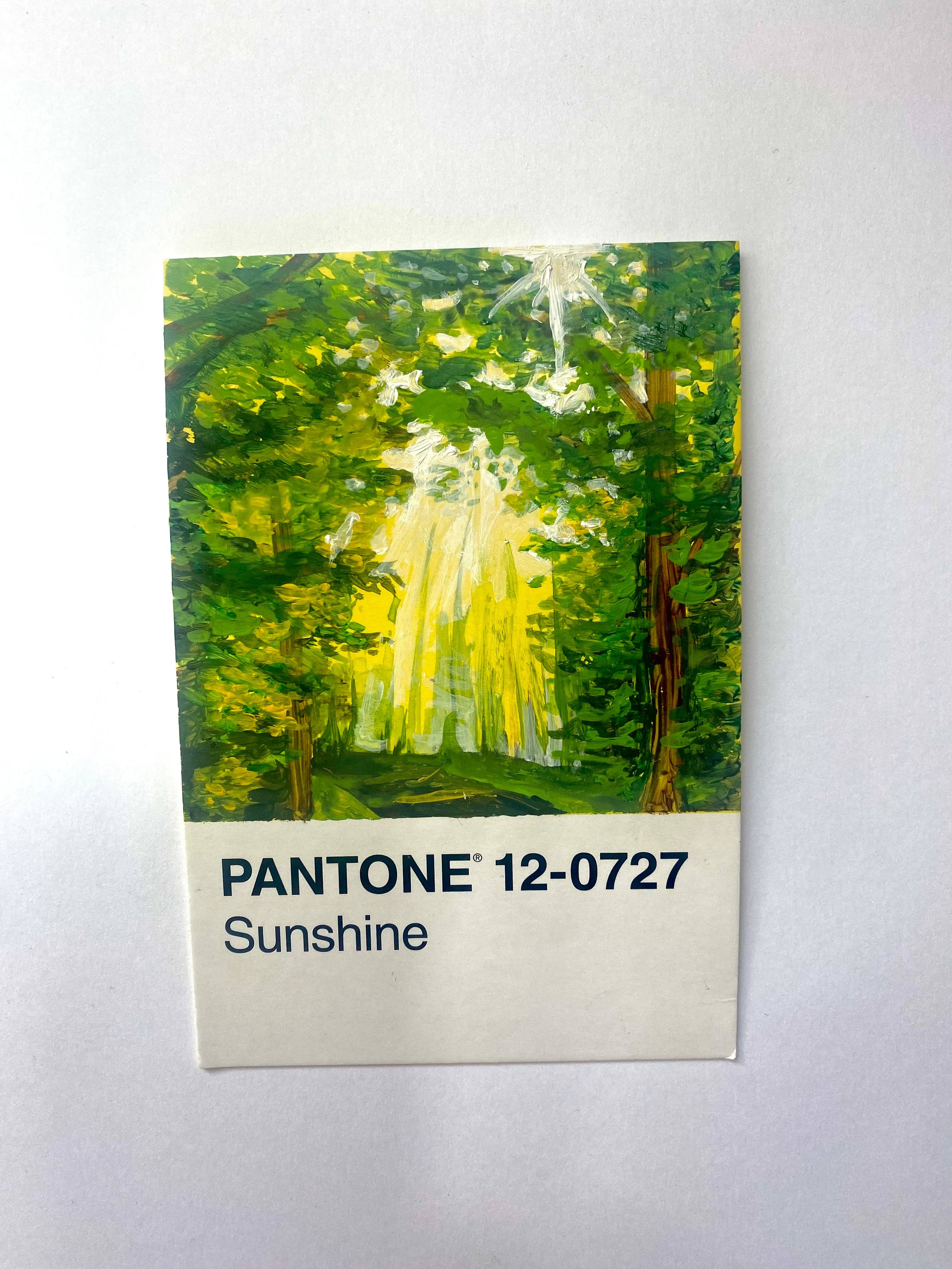 The Abstract By Sasha - Vendita all'ingrosso Cartoline - Pantone Sunshine1