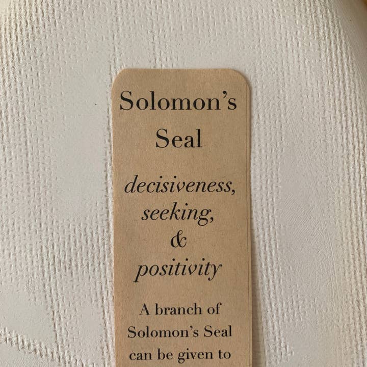 CSF Ceramics - Wholesale Platter - Oval Platter: Solomons Seal