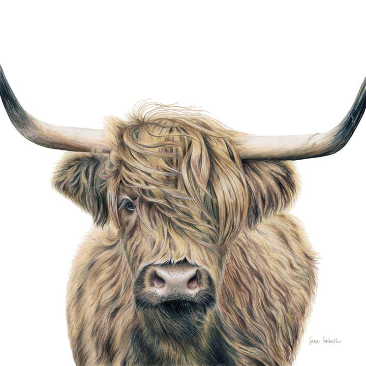 "Highland Fields" A Highland Cow Colored Pencil Horizontal P for wholesale by Sara Forbush Art