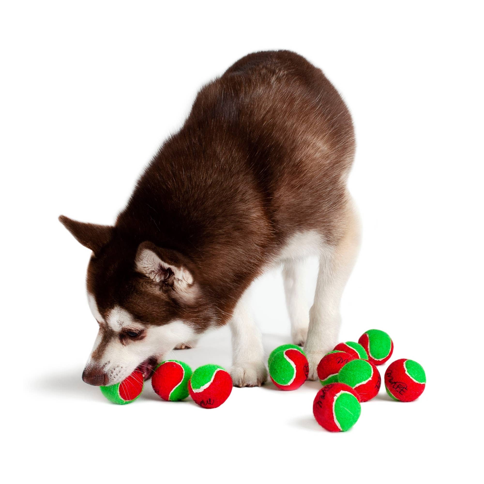 Midlee Designs - Wholesale Pet Fetch Ball - Dog - Midlee Merry Christmas Dog Tennis Balls12