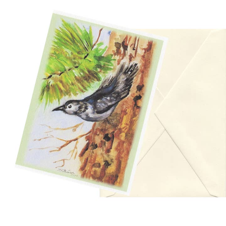Fine Art For Small Spaces - Wholesale Everyday Greeting Card - Pine Bird 2 Watercolor Nature Art Blank Note Card