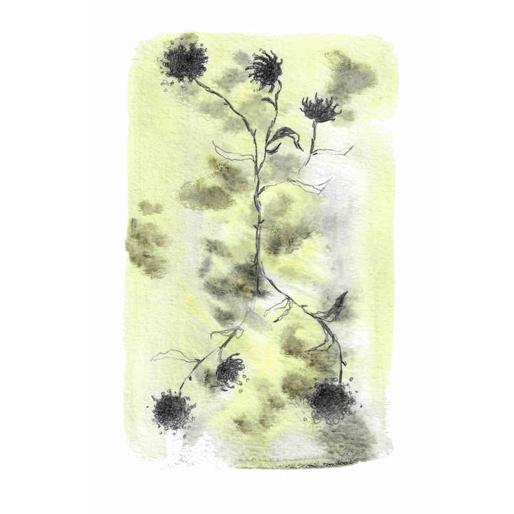 Plantable Card Twin Flowers for wholesale by Lara Coutihno