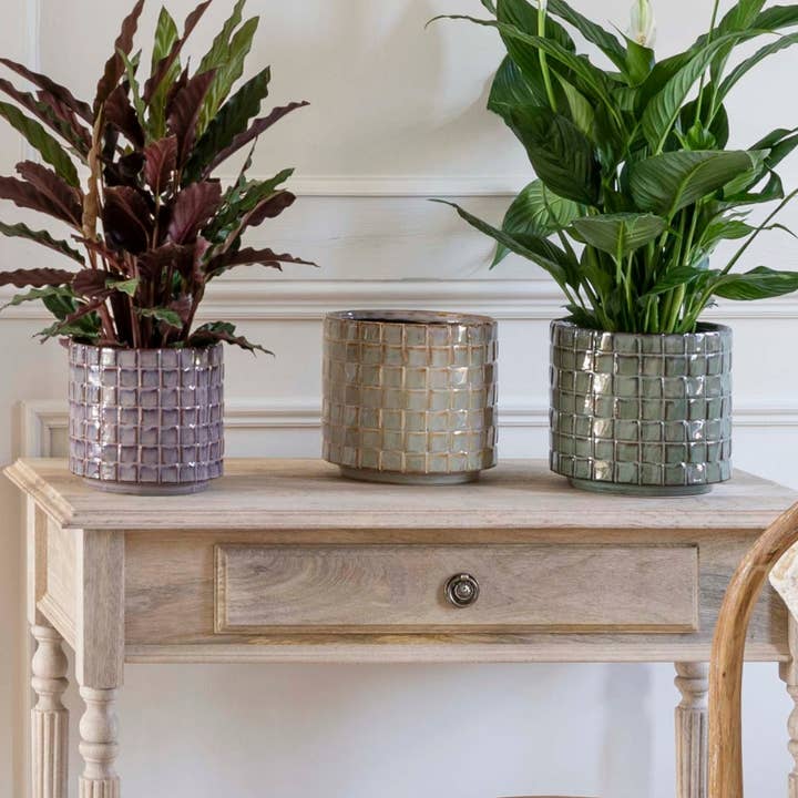 Tarah Textured Glaze Ceramic Indoor Planter H11cm D10cm for wholesale by Ivyline