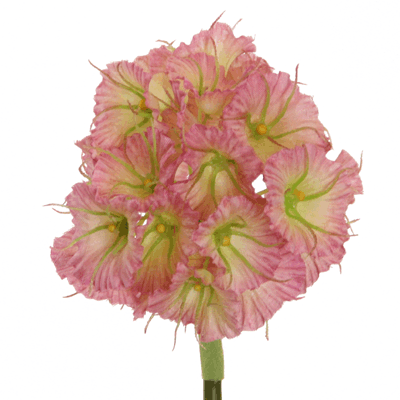 Floratexx - Wholesale Artificial Flowers - Scabiosa Stellata 45 cm pink0