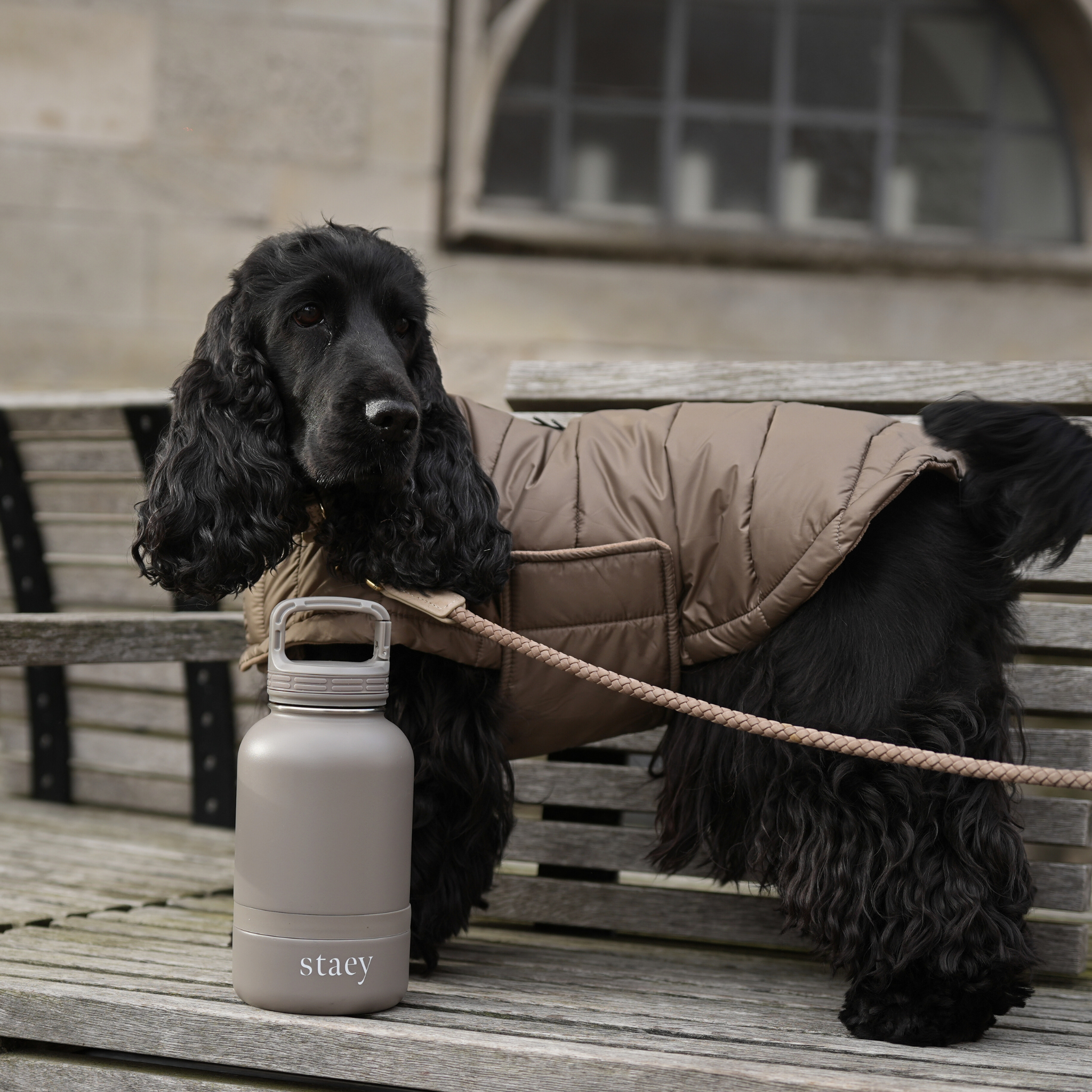 Staey - Wholesale Pet Water Bottle - Dog - Noona 2-in-1 Bottle with Bowl | Stainless Steel6