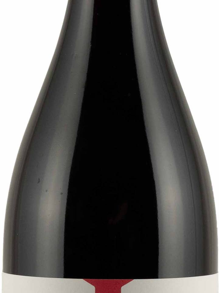 PINOT NERO SECCO | da argilla loess per la vendita all'ingrosso da parte di Weingut Ökonomierat Lind GbR