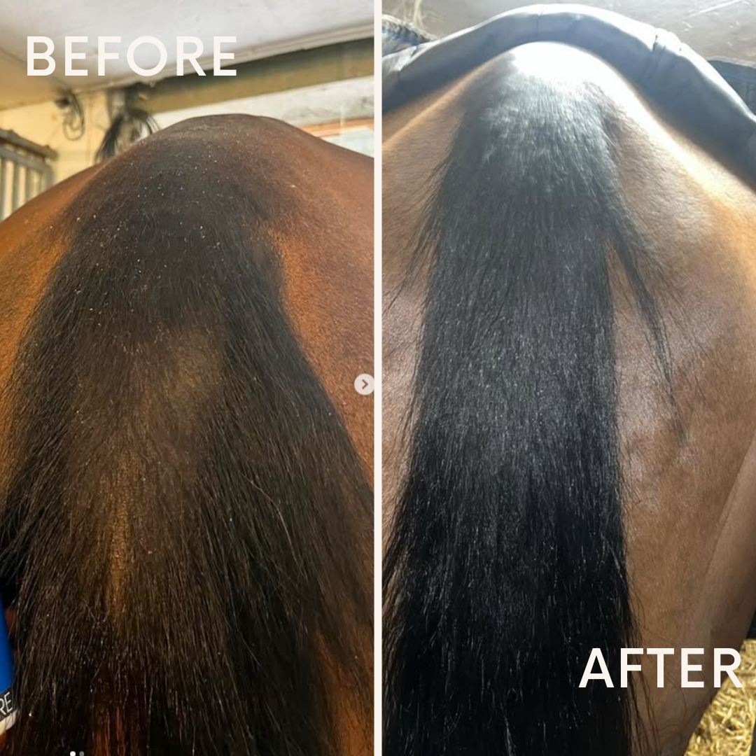 Horse of the world – Condicionador de cavalo por atacado – Spray de crescimento para cavalo2