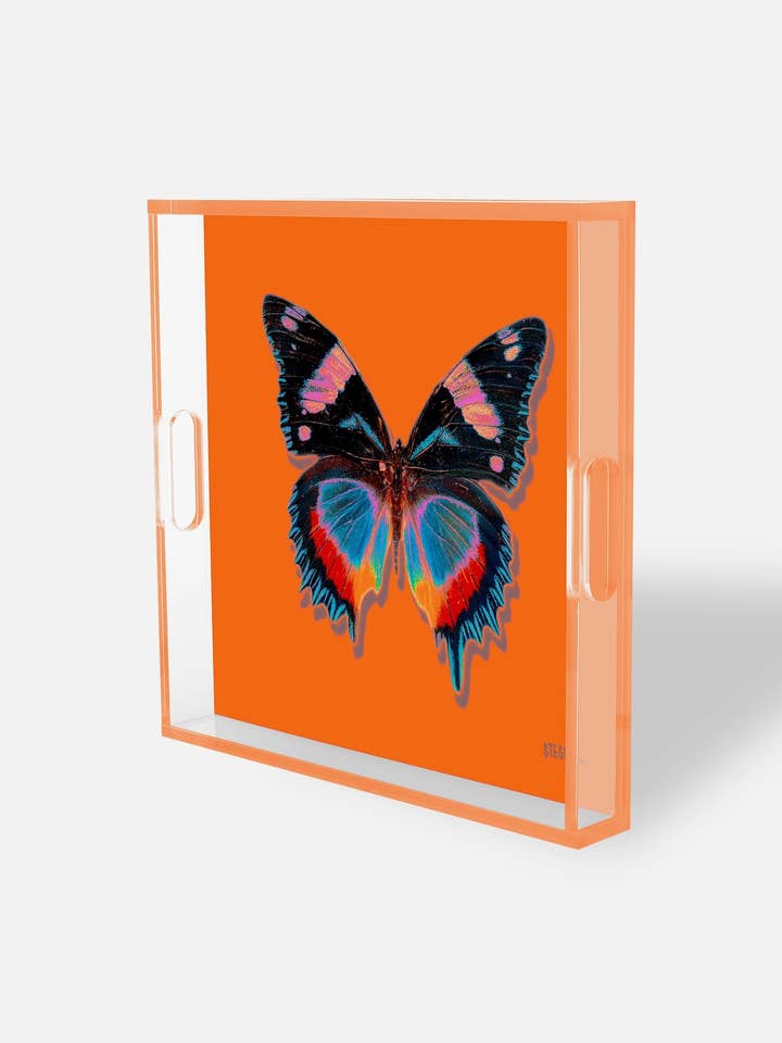 Solnedgangsmonark Akrylbakke for engroshandel hos David Stesner ArtHouse