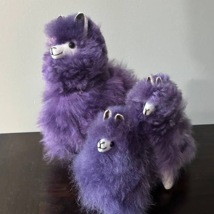 Campo Alpaca - Wholesale Stuffed/Plush Toy - Kids & Baby - Alpaca Fluffies - Colorful1