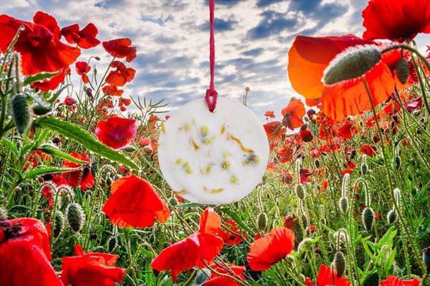 La Fabrique Des Lutins - Wholesale Wax Melt - Pack 48 Pebbles1