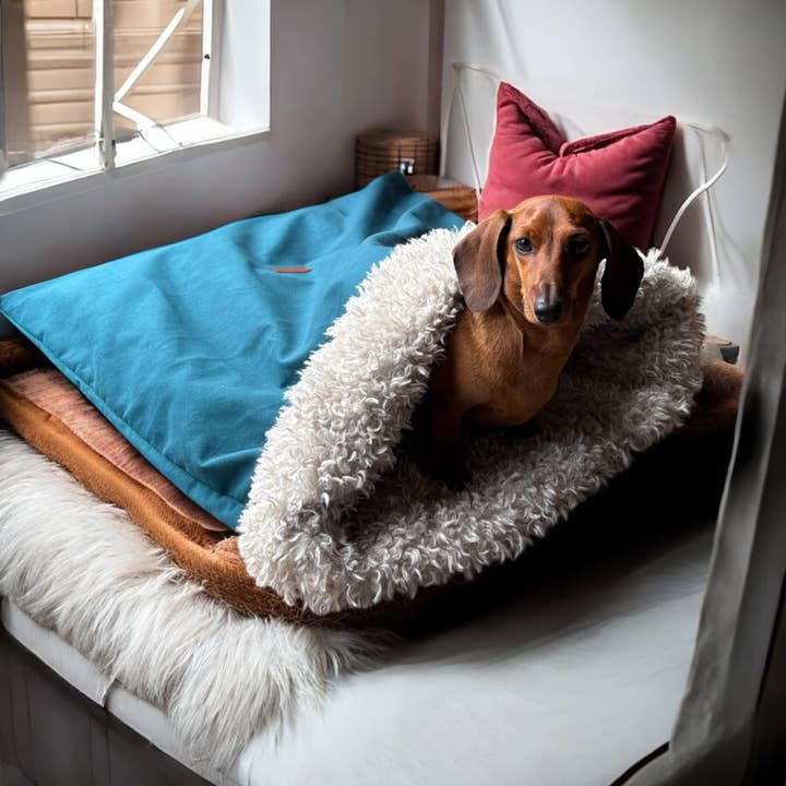 Urban Petrol på stranden för wholesale av I-Dogs