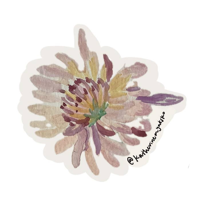 Chrysanthemum 001 for wholesale by Nature and Nurture