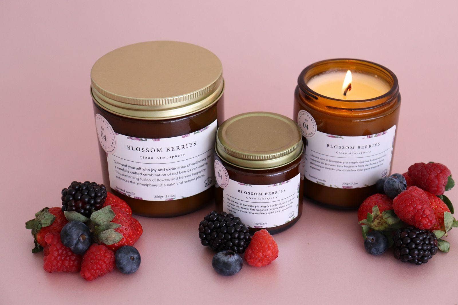 Central 220 - Wholesale Jar/Filled Candle - 04 | Joy | Blossom Berries  | Scented Candle3