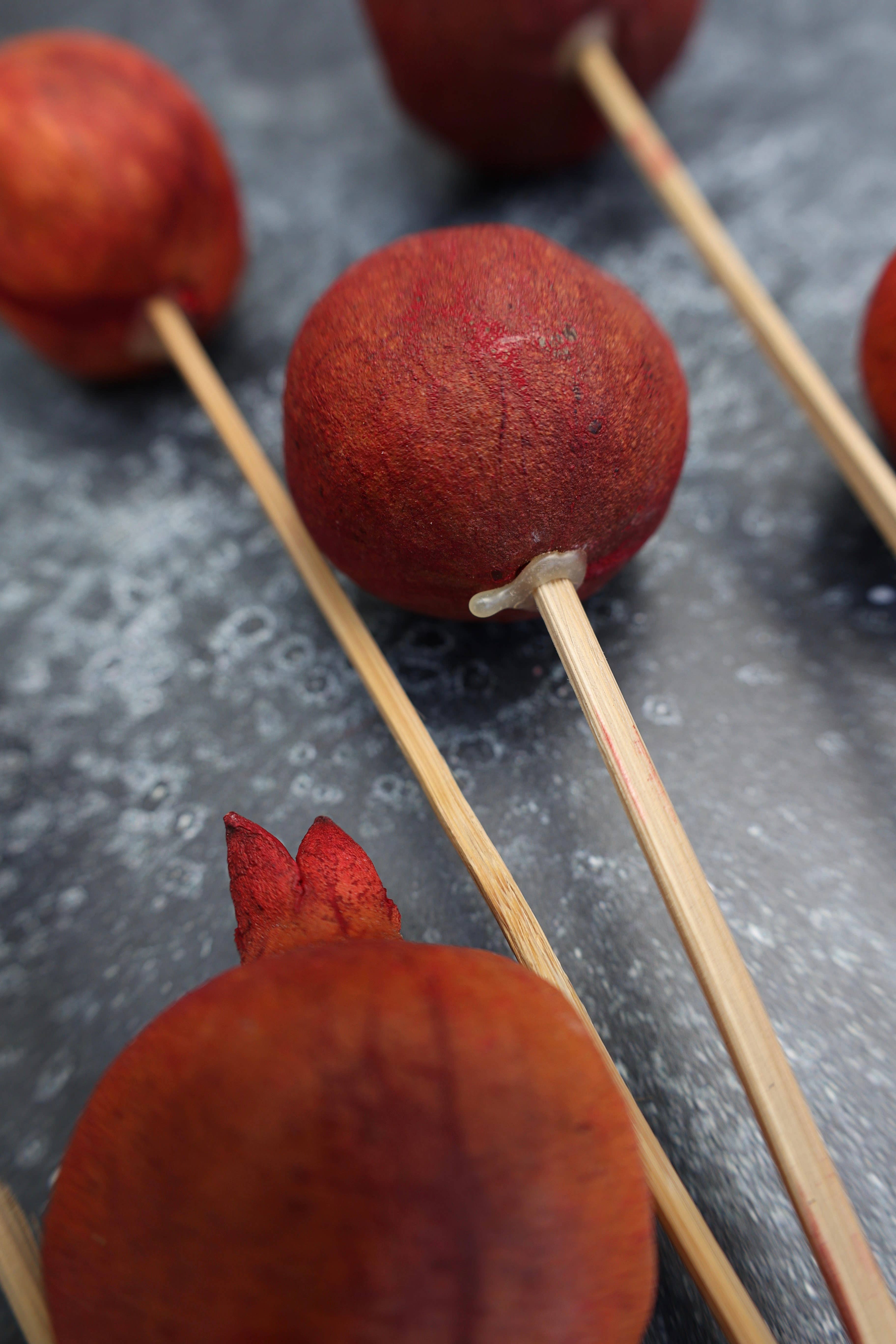 FlowerFantaSee - Wholesale Dried/Pressed Flowers - Dried Pomegranate Stems 4