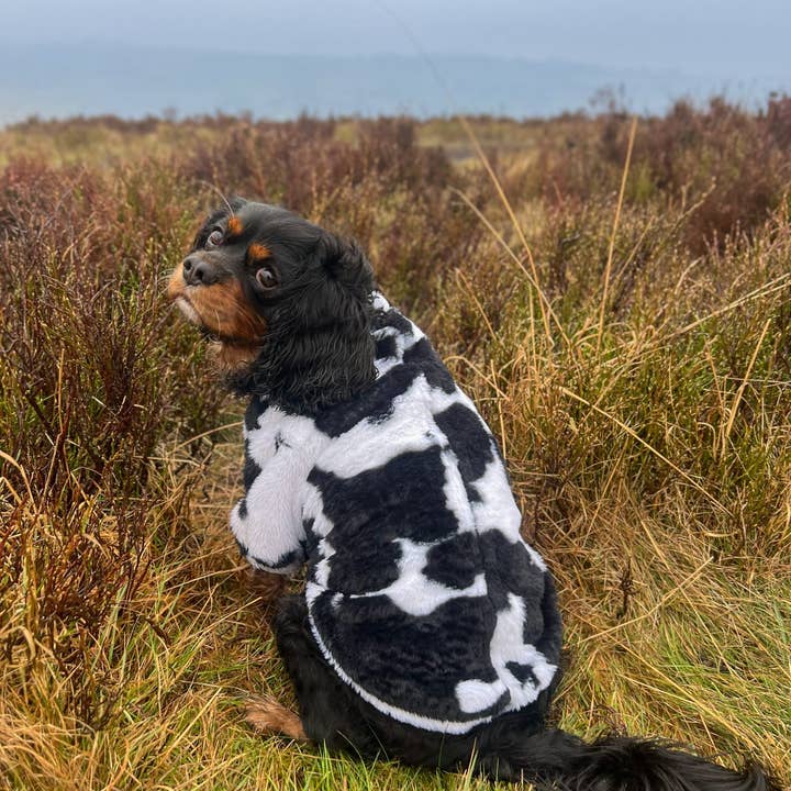 The Paw Print Boutique - Wholesale Pet Coat - Dog - The Cow Print Fluffy & Fabulous Fleece20