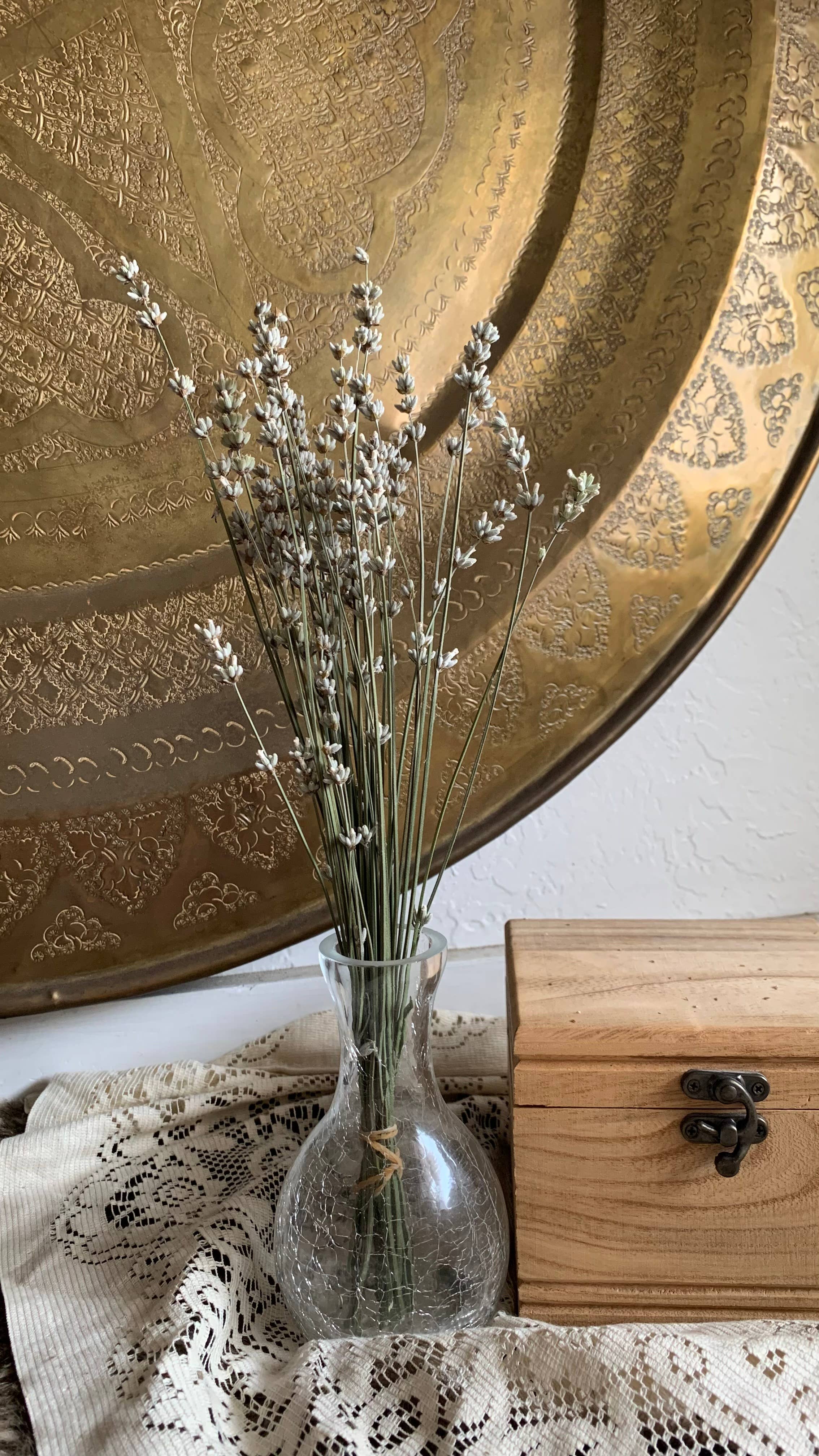 Twig and Snip - Wholesale Dried/Pressed Flowers - Dried White Lavender - Healing Flowers7