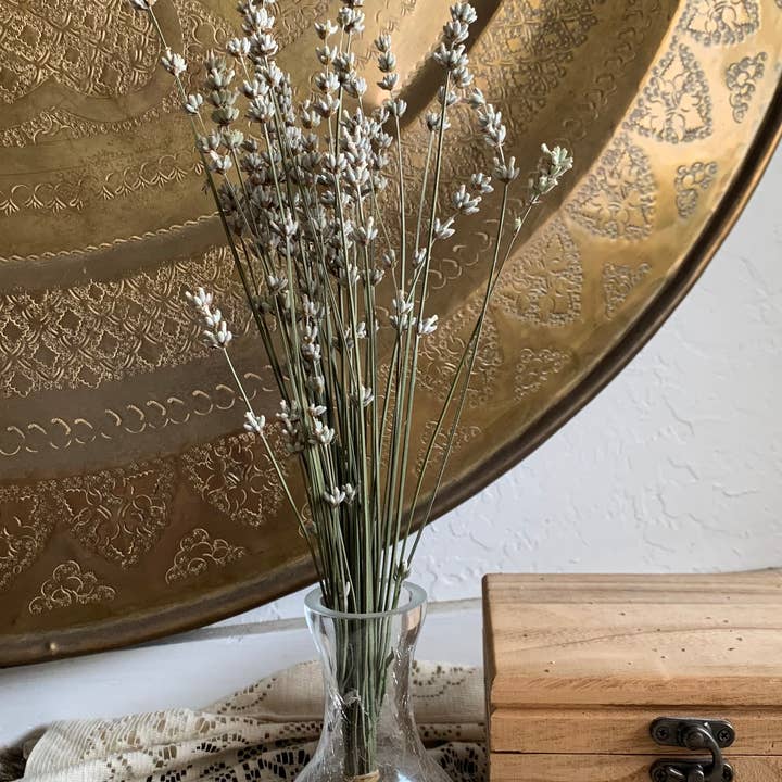 Twig and Snip - Wholesale Dried/Pressed Flowers - Dried White Lavender - Healing Flowers7