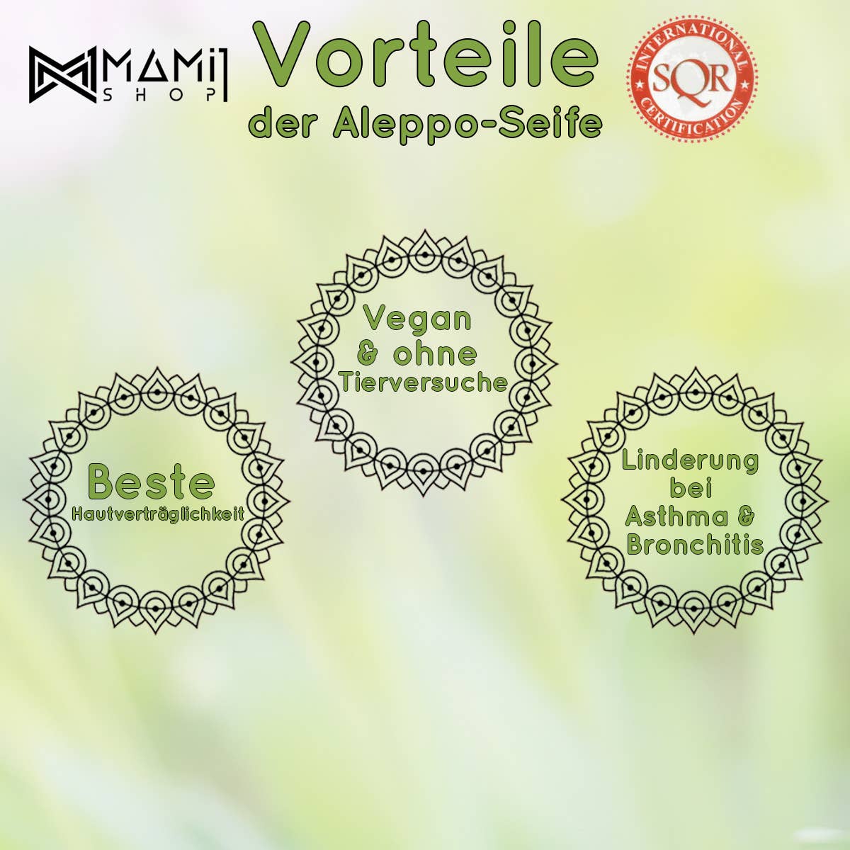 MaMi1Shop – wholesale Tvål – Aleppotvål MaMi 20 | Olivolja | 20 % Lagerbladsolja5