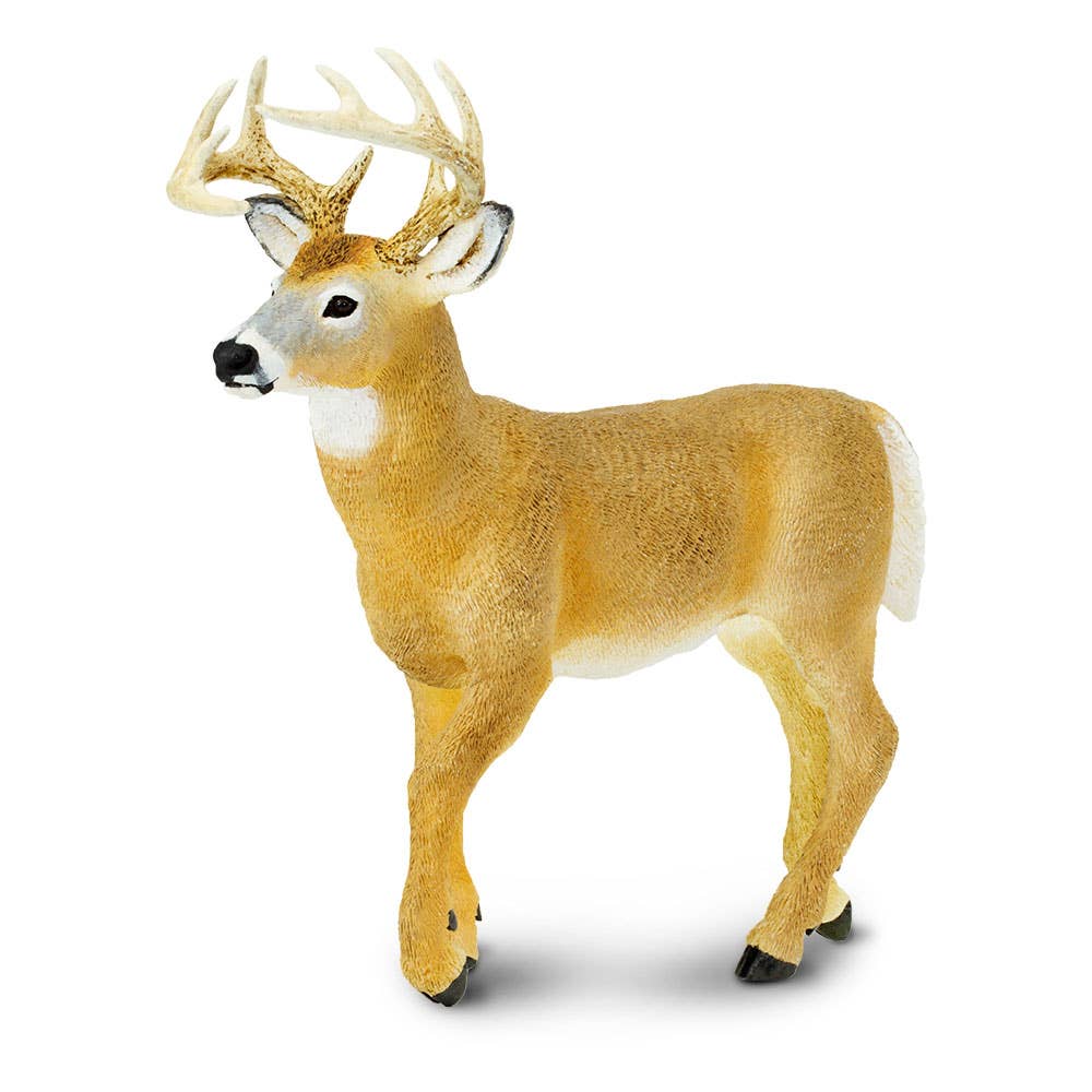 Safari Ltd. - Wholesale Figurine Toy - Kids - Whitetail Buck - 1135892