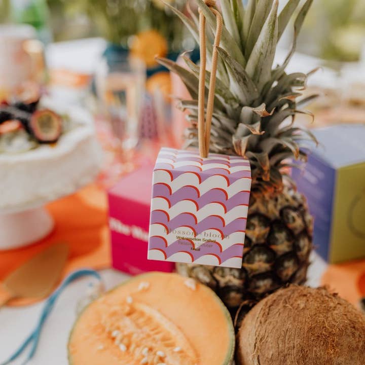 Blossom and Bloom - Wholesale Reed diffuser - Watermelon Sorbet - 10 ml Reusable Diffuser1