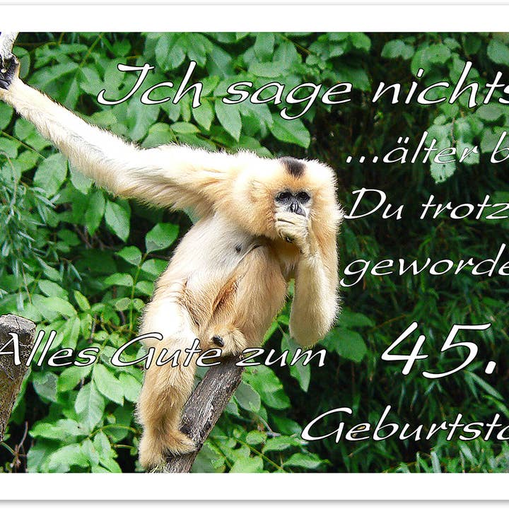 Numero compleanno/biglietto di auguri/45° compleanno/5296452 per la vendita all'ingrosso da parte di Yabué