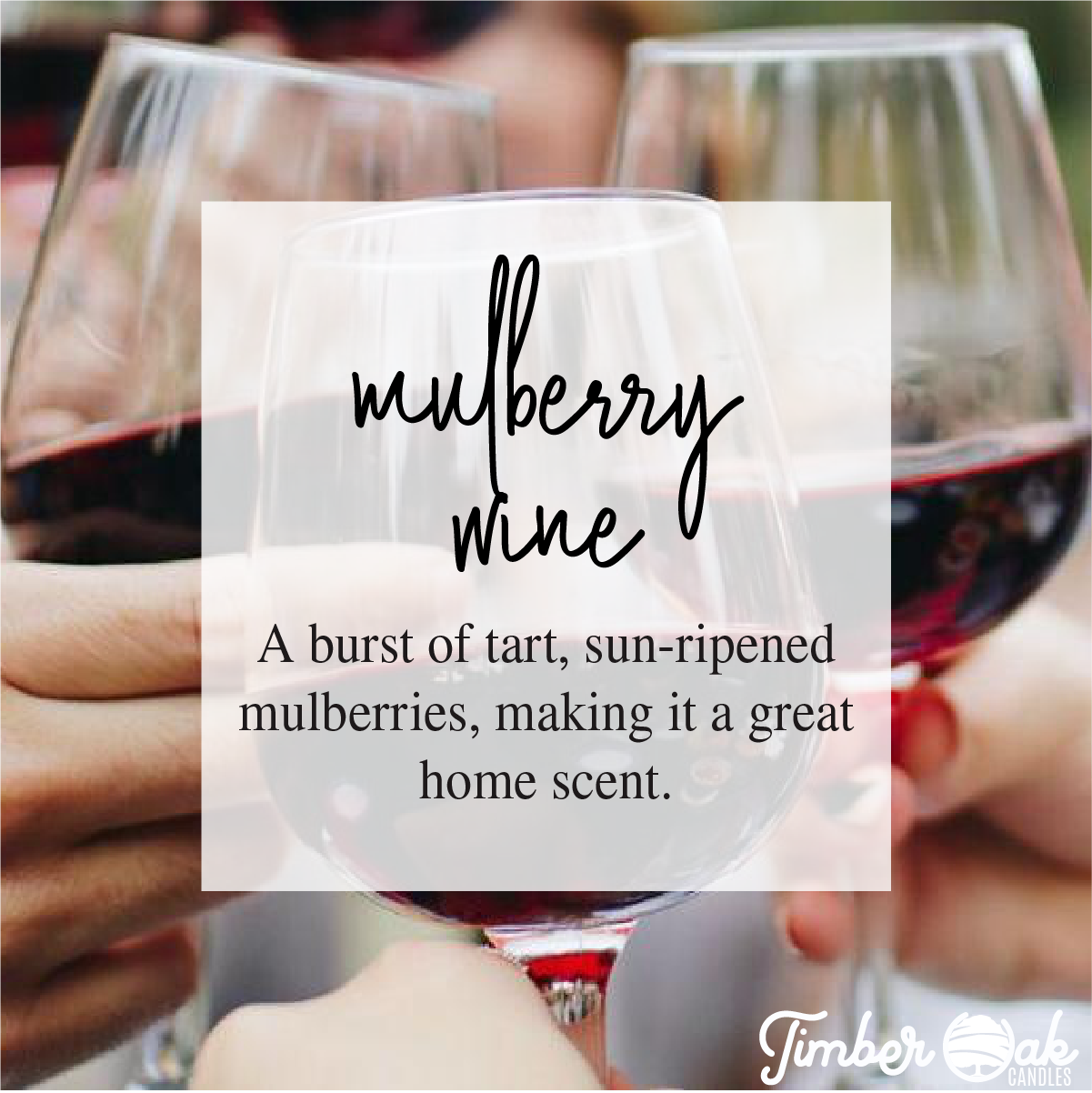 Timber Oak Candles - Wholesale Jar/Filled Candle - BEST TEACHER EVER | 8oz Mason Jar | 100% Pure Soy Candles2