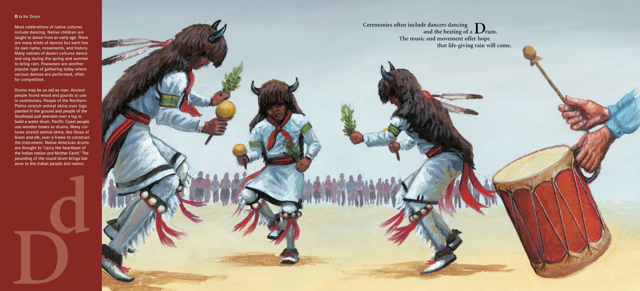 Sleeping Bear Press - Wholesale Book - Kids - D is for Drum: A Native American Alphabet Picture Book1