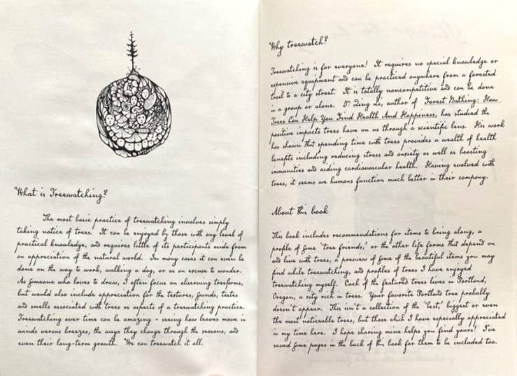 Microcosm Publishing & Distribution - Wholesale Nature & Outdoors Book - Beginner's Guide to Treewatching (Zine)1