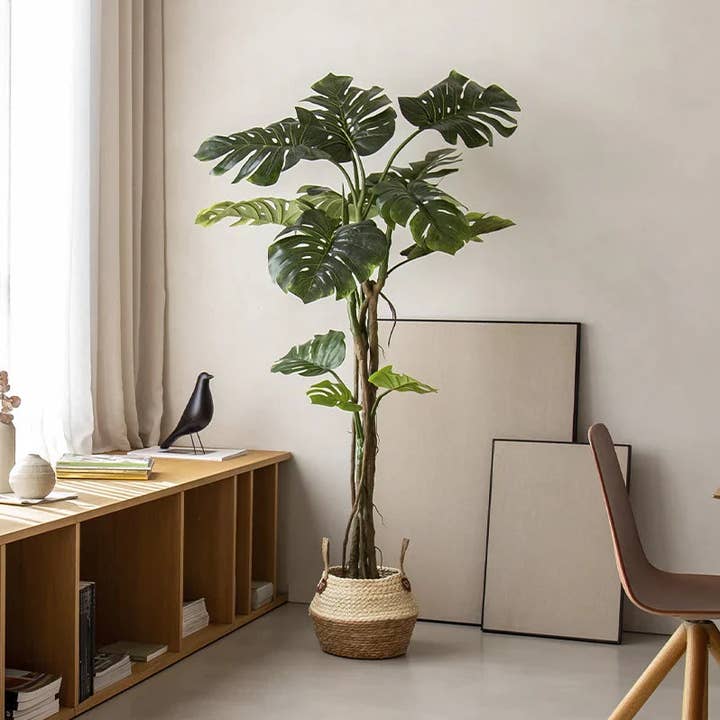 6' Artificial Monstera Plant and other Purchase Wholesale artificial plants. Free Returns & Net 60 Terms on Faire trending on Faire.