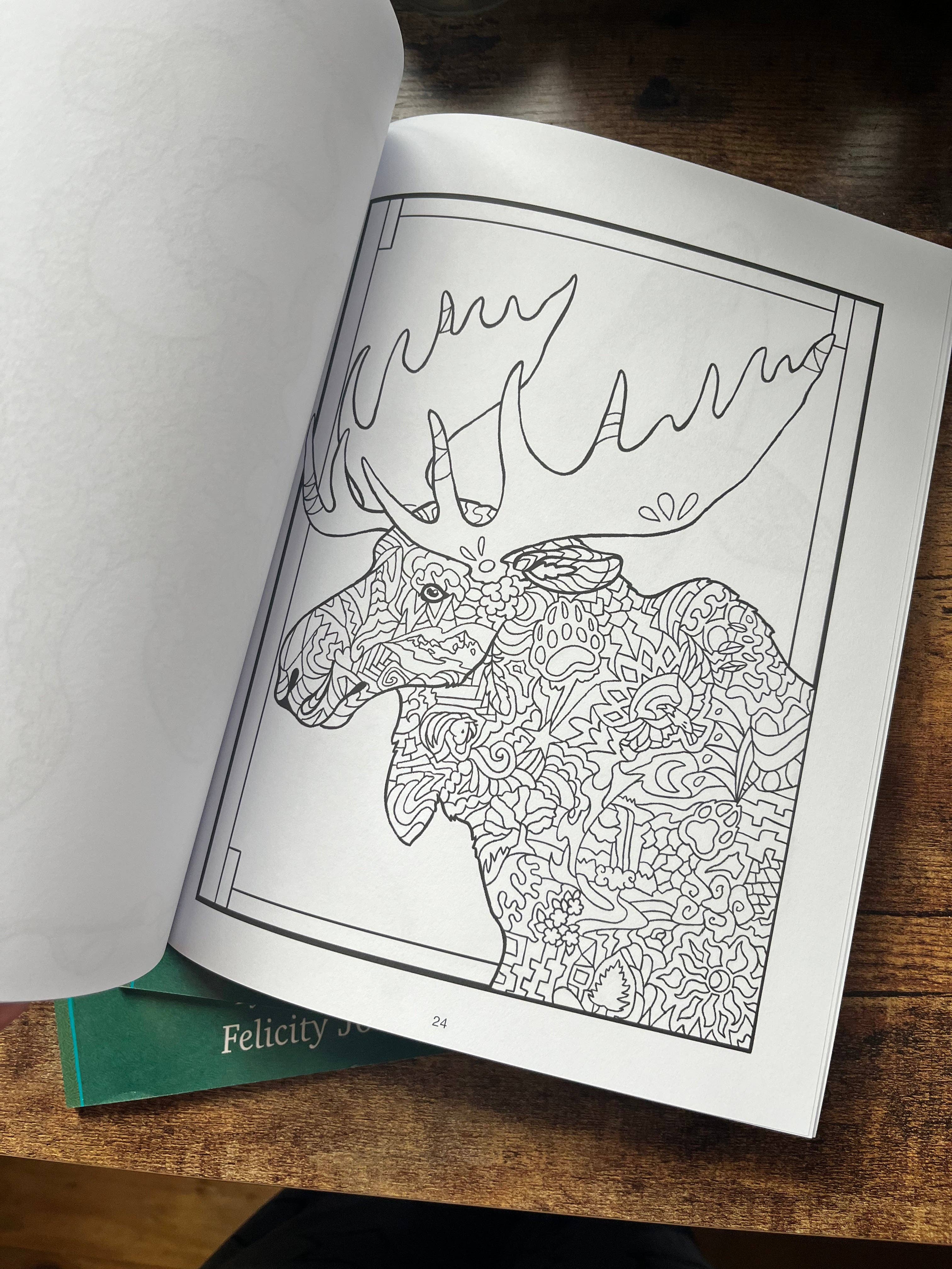 FJ Creations - Wholesale Coloring & Activity Book - Adult - Doodle Alaska 2 Coloring Book of Alaska3