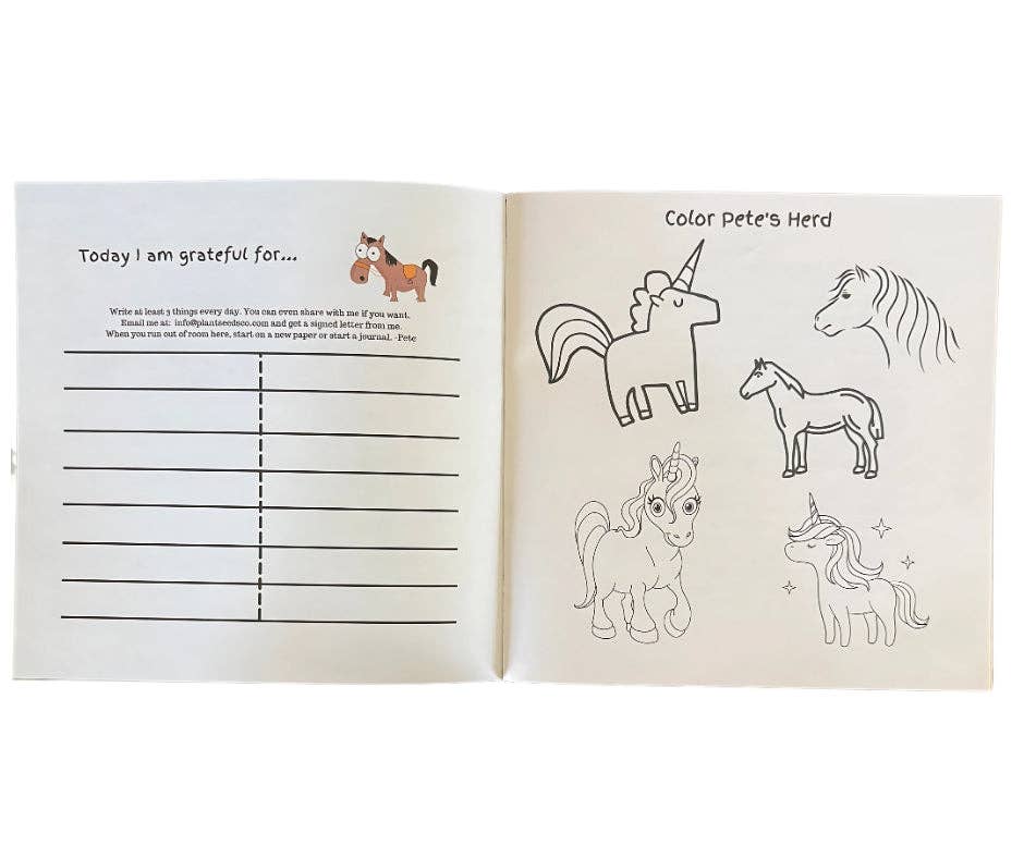 Lessons From Pete the Pony - Wholesale Preschool Book (3-5) - Lessons From Pete the Pony: Pete's Old Saddle2