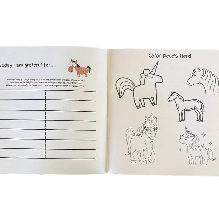 Lessons From Pete the Pony - Wholesale Preschool Book (3-5) - Lessons From Pete the Pony: Pete's Old Saddle2
