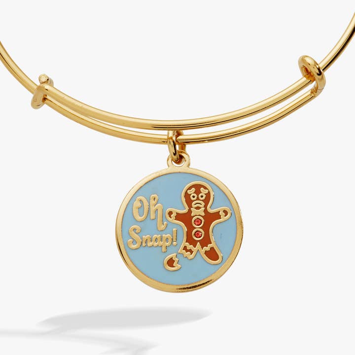 'Oh Snap!' Gingerbread Charm Bangle for wholesale by Alex and Ani