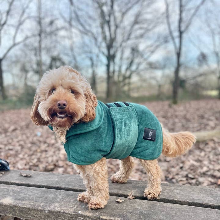 Dog Drying Robe - Forest Green for wholesale by Hack & Hound