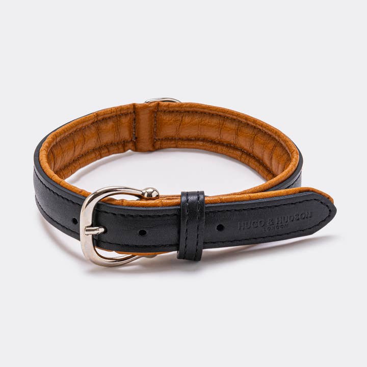 Padded Leather Dog Collar - Black and Brown for wholesale by Hugo & Hudson