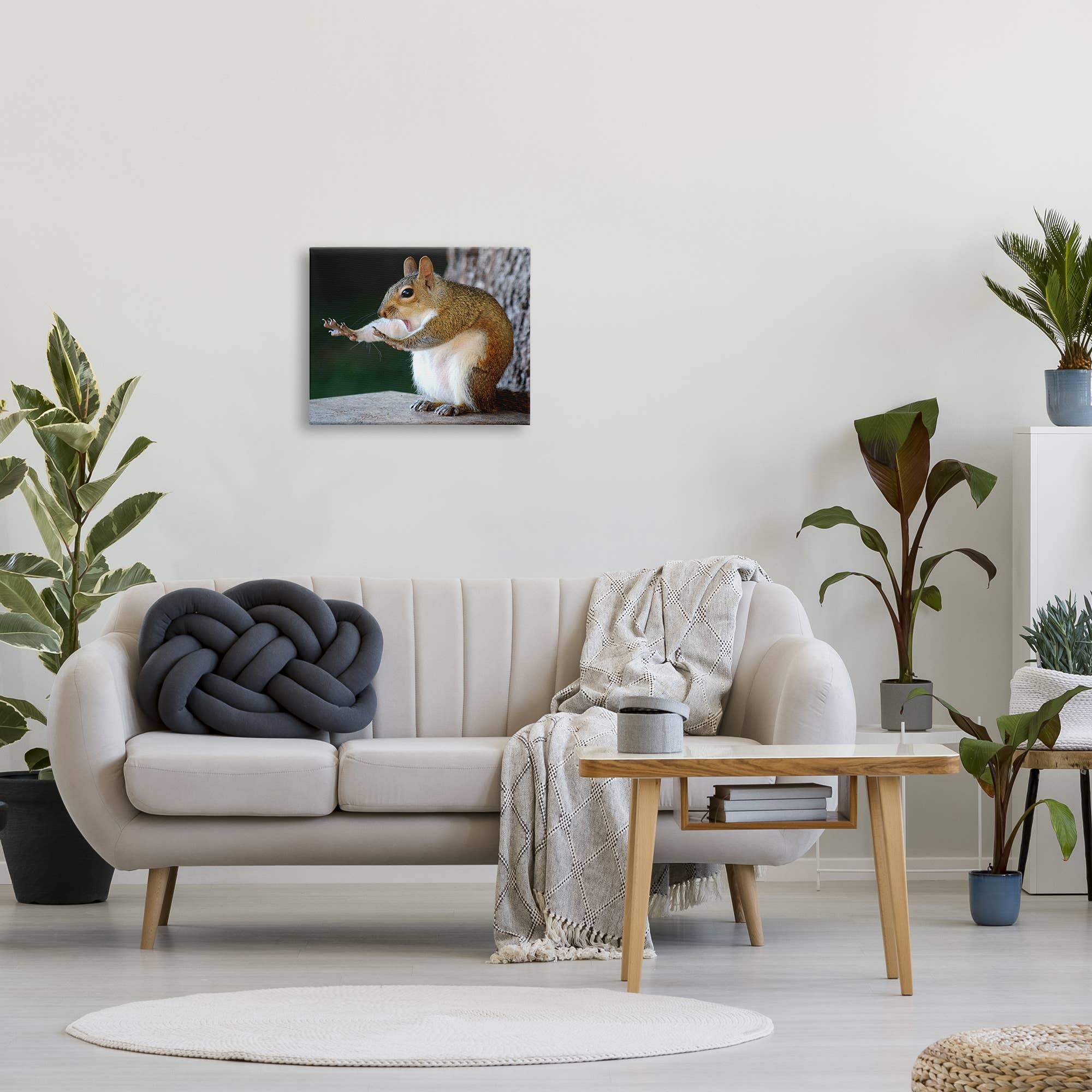 Stupell Industries – wholesale Art print – Funny Shocked Pose Squirrel Canvas Art0