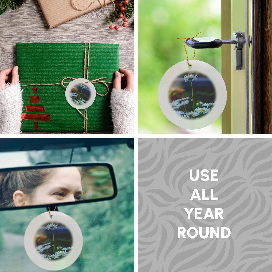 3dRose – wholesale Prydnad – 3dRose, Savannah, Georgia. Klunga av prästkragar i Forsyth Park, prydnad4