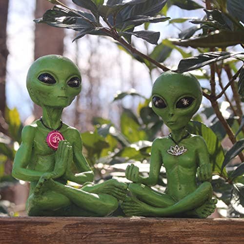 John Bernard & Company - Vendita all'ingrosso Statuette decorative - Set di statuette di coppia in meditazione «Zen and Yoga» di Alien Invasion6