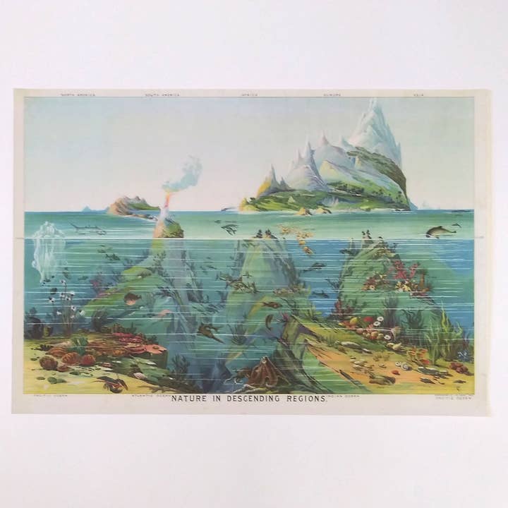 Zones de vie descendantes - reproduction de carte vintage pour la vente par Big Wheel Press