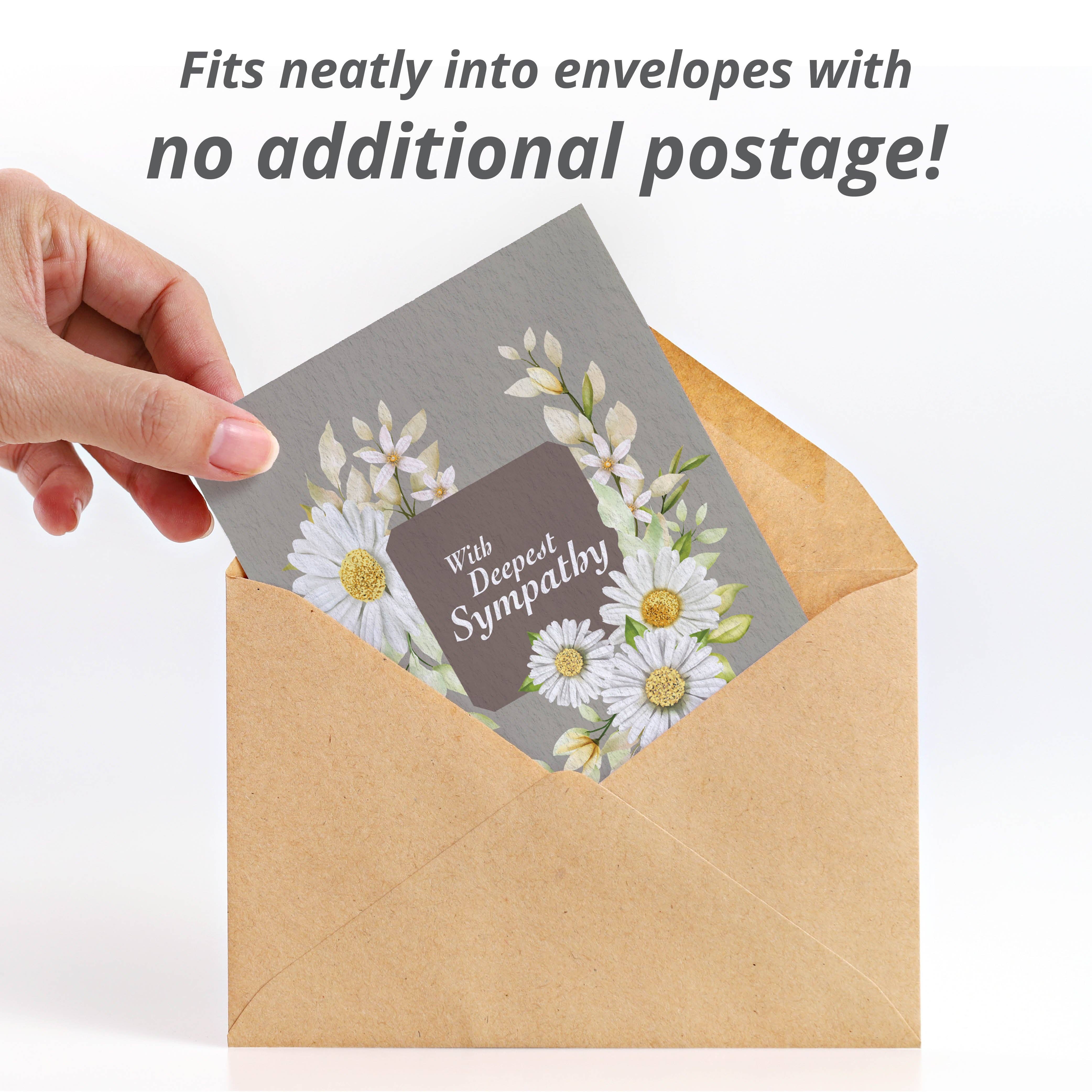 Bentley Seed Co. - Wholesale Sympathy Card - With Deepest Sympathy - Shasta Daisy Seed Packets3