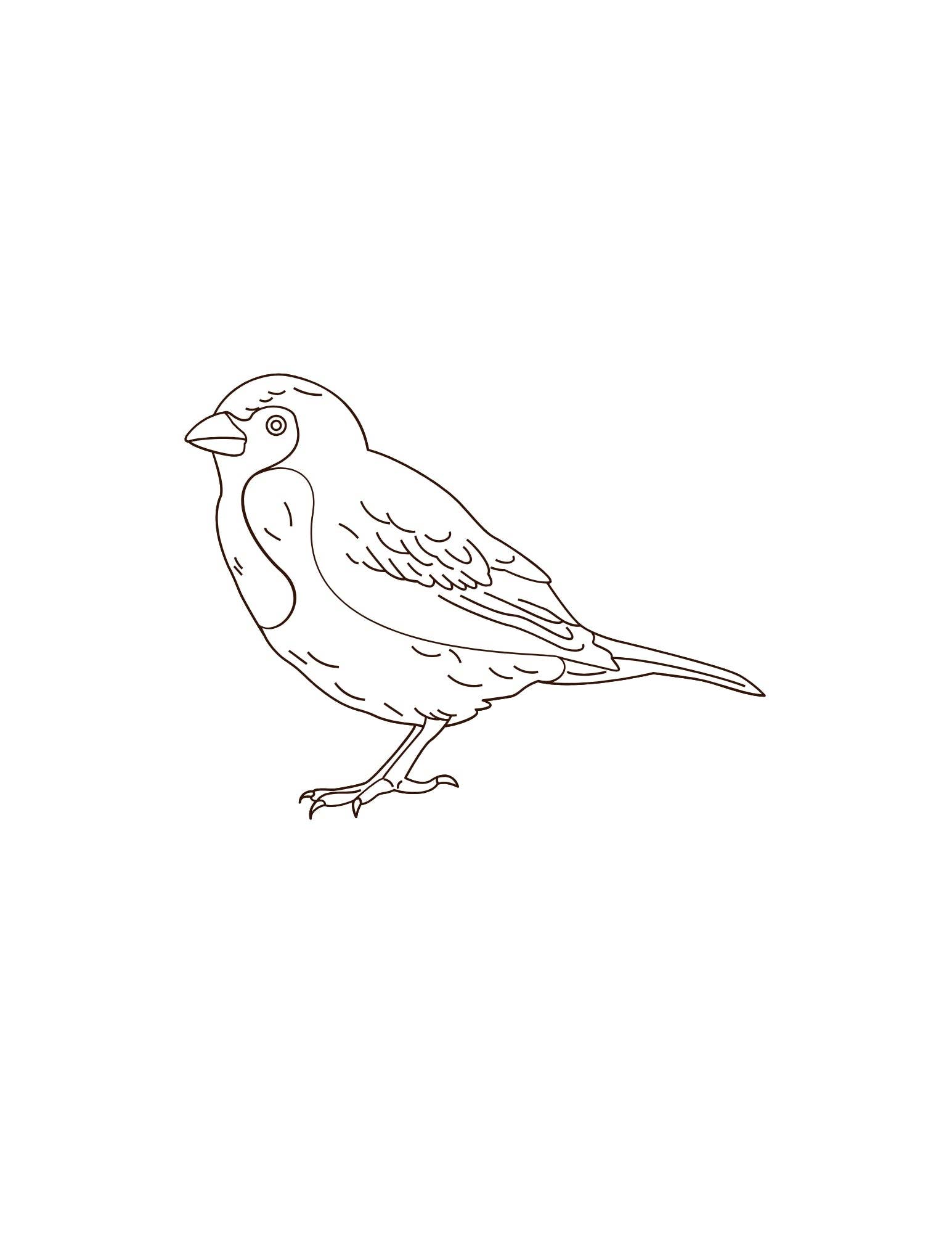 A House of Books - Wholesale DIY Craft Kit - Art Prompt Kit- Birds2