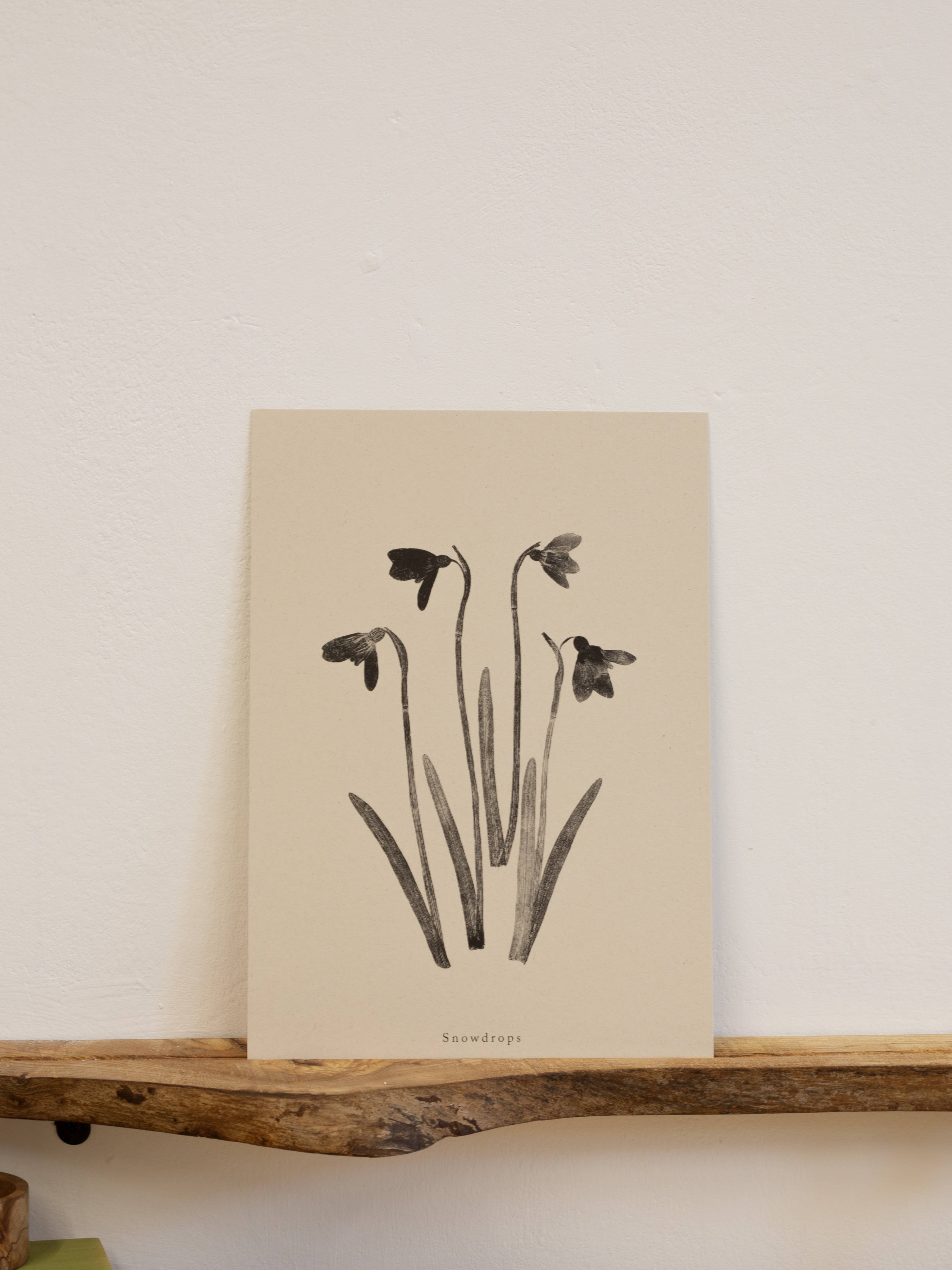 Alicia Breakspear - Wholesale Art Print - Botanical Art Print A5 A4 A3 Snowdrops Flower 8