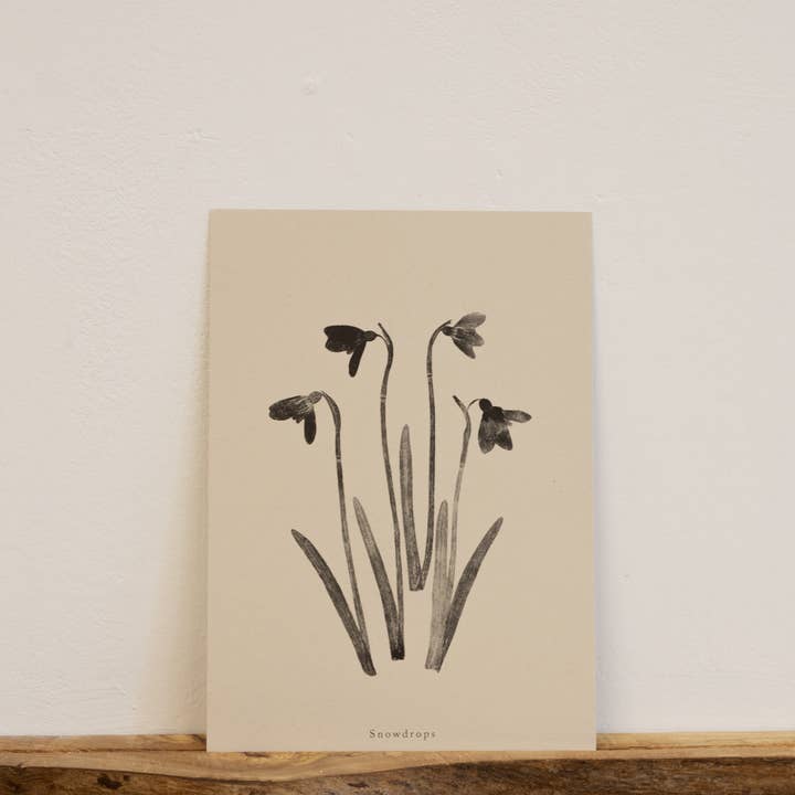Alicia Breakspear - Wholesale Art Print - Botanical Art Print A5 A4 A3 Snowdrops Flower 8