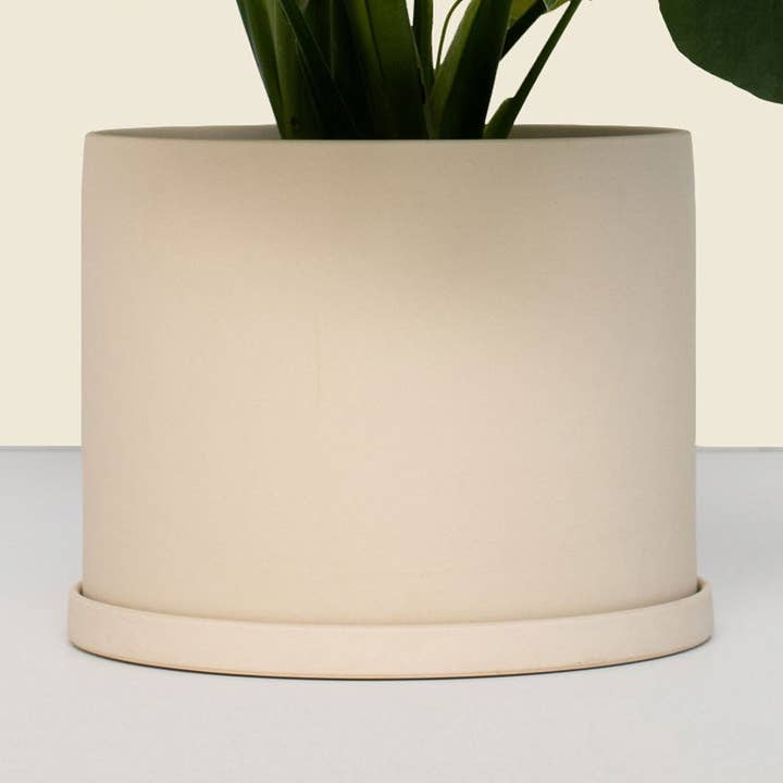 Pot moyen beige avec soucoupe pour la vente par Jungle Supply