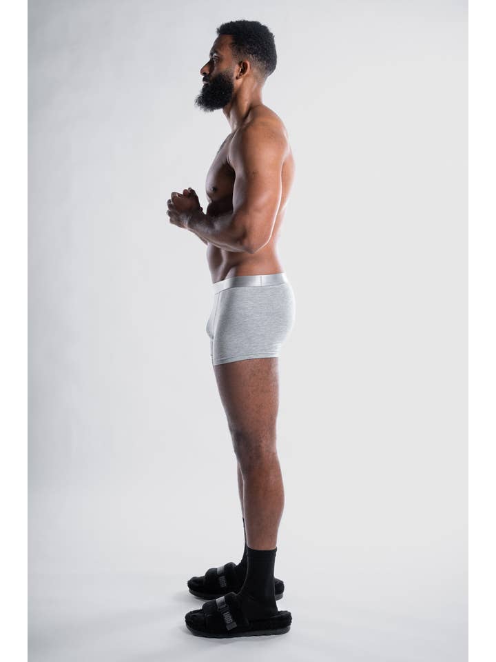 Weard AB – Roupa interior - Homem por atacado – Fine Ass Boxers | kit com 2 - cinza4